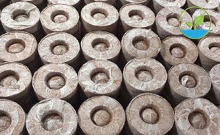 Sét 10. viên nén sơ dừa