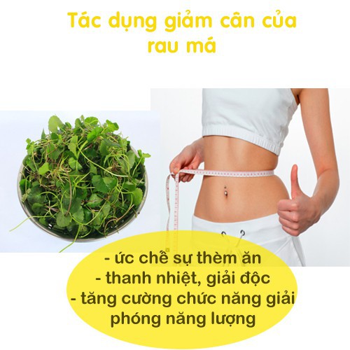 Bột Rau Má Nguyên Chất Behena Sấy Lạnh Hộp 50g - Thanh nhiệt giải độc, làm trắng sáng da