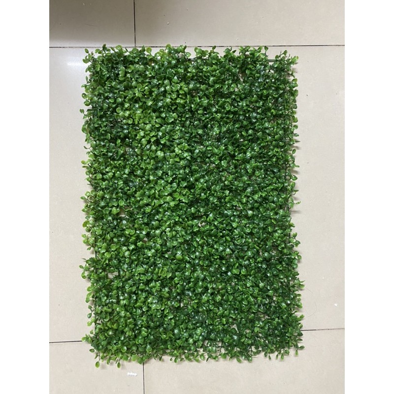 Thảm cỏ treo từơng (vĩ cỏ tai chuột size: 40 x 60cm)