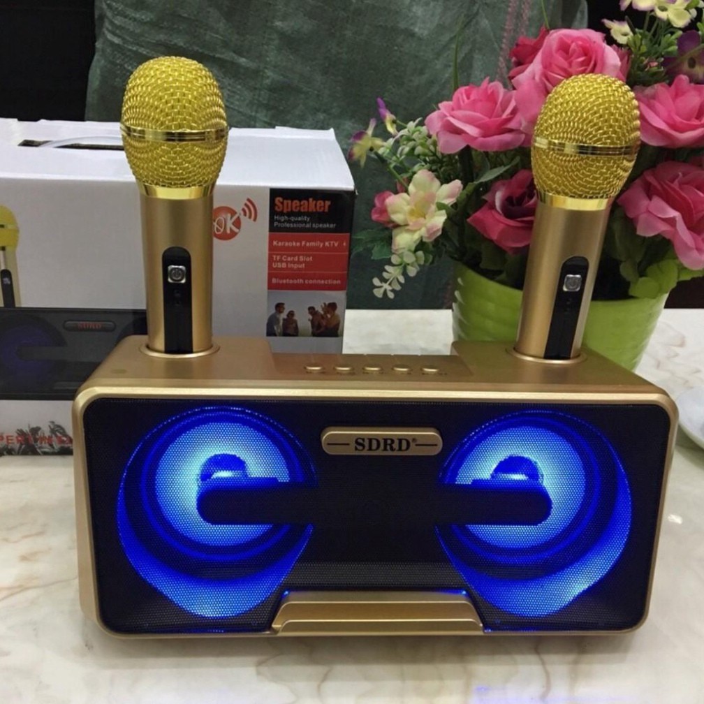 LOA KARAOKE SD-309