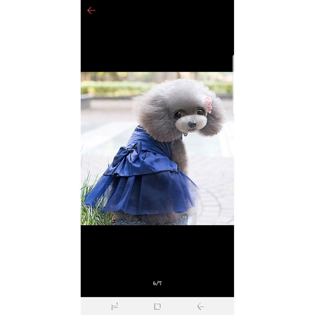 ĐẦM XÒE CÔNG CHÚA