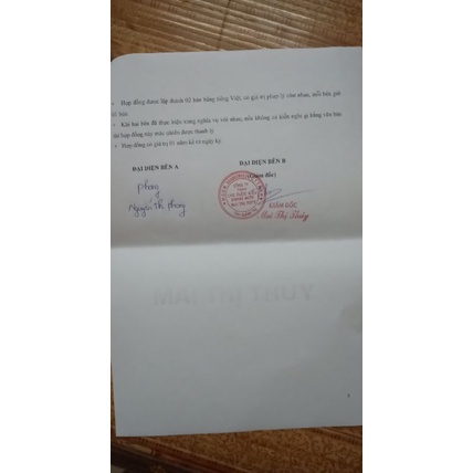 [CHÍNH HÃNG] Cà Gai Leo Viên Hoàn Mai Thị Thủy Hộp 300 Viên - Bổ gan, mát gan, hạ men gan, phục hồi tế bào gan