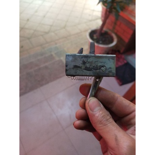 cò nỏ săn bắt