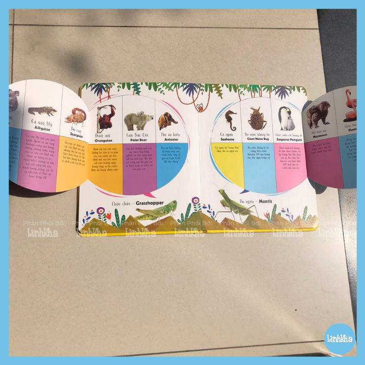 Sách Lift-The-Flap - First 100 Animals - 100 từ đầu tiên về các loài động vật - Nhà phát hành Đinh Tị