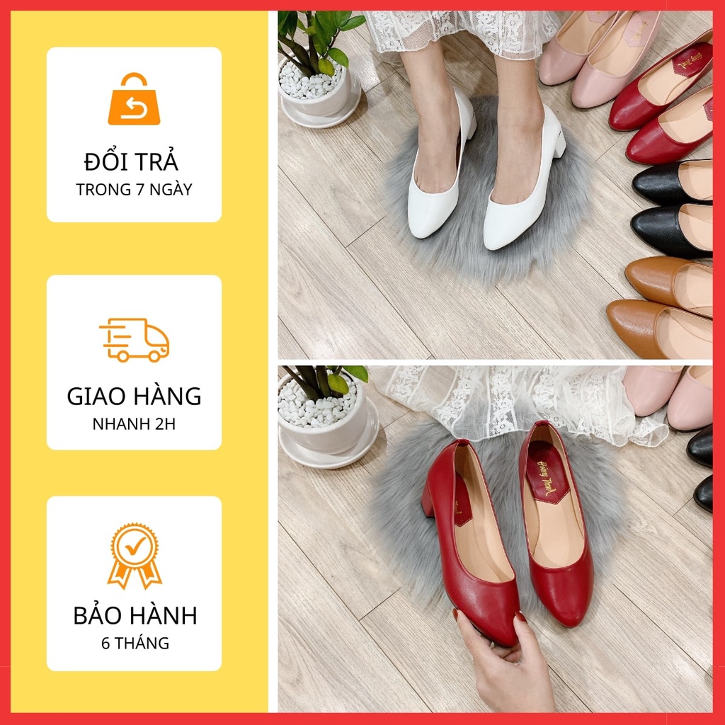 Giày Cao Gót Đế Vuông Mũi Nhọn Big Size Giày Búp Bê Nữ 3 Phân Hoàng Thanh G2
