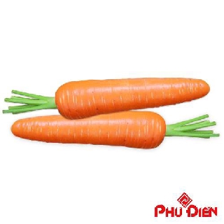 Gói 300 hạt giống cà rốt đỏ  PHÚ ĐIỀN