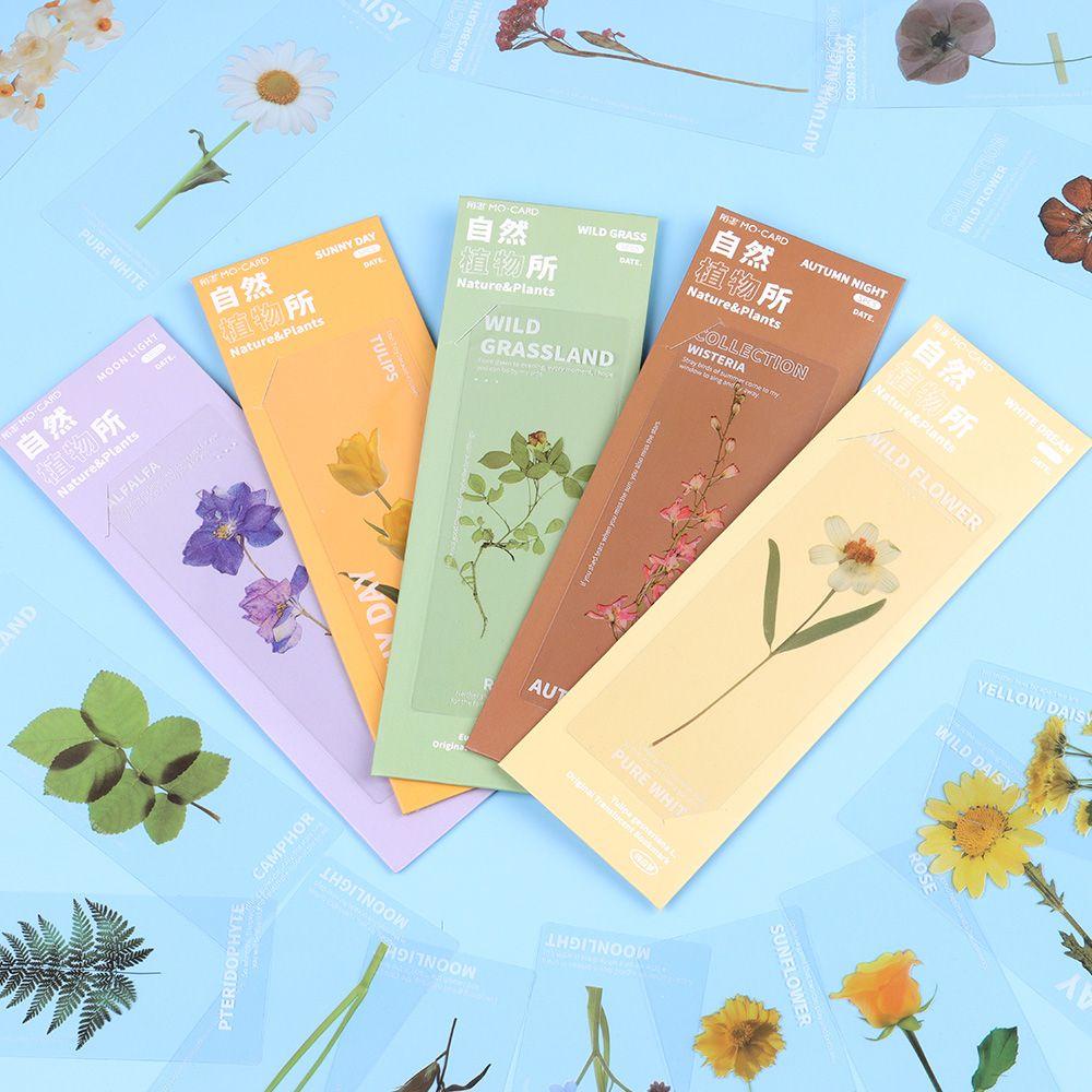 DORAW Set 5 Thẻ Đánh Dấu Sách Hình Cây Tự Nhiên