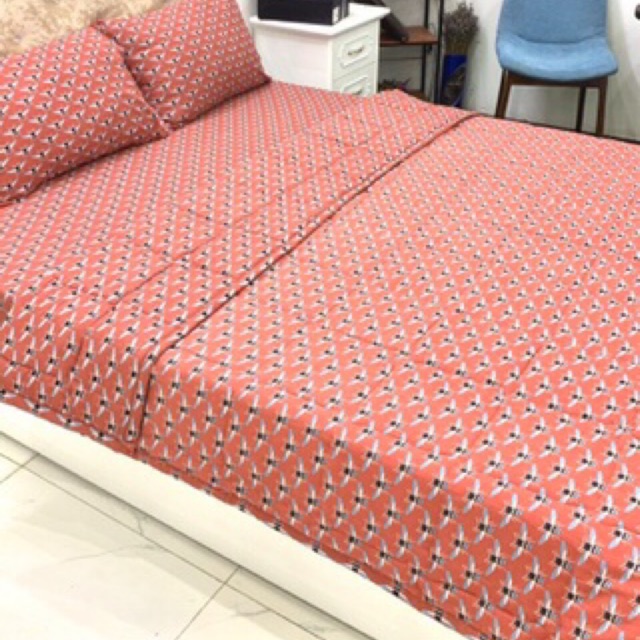 Bộ drap Cotton đũi