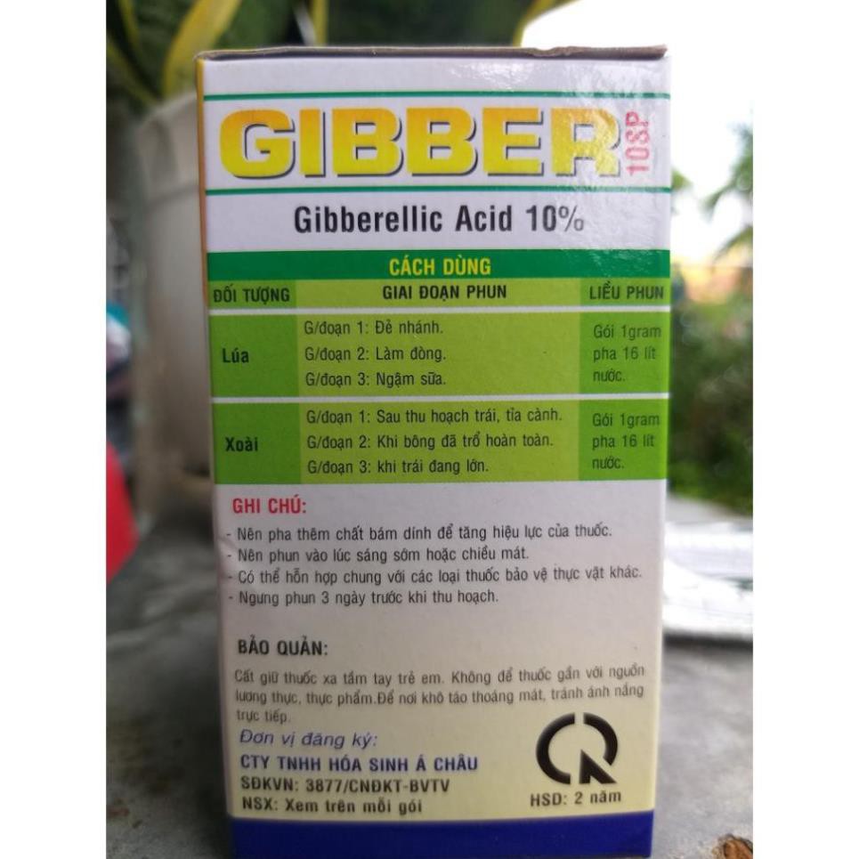 Phân Bón Lá GIBBER Kích Thích Tăng Trưởng