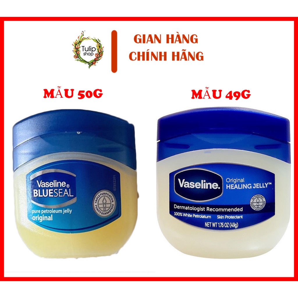 SÁP DƯỠNG KHÔNG MÀU 49G