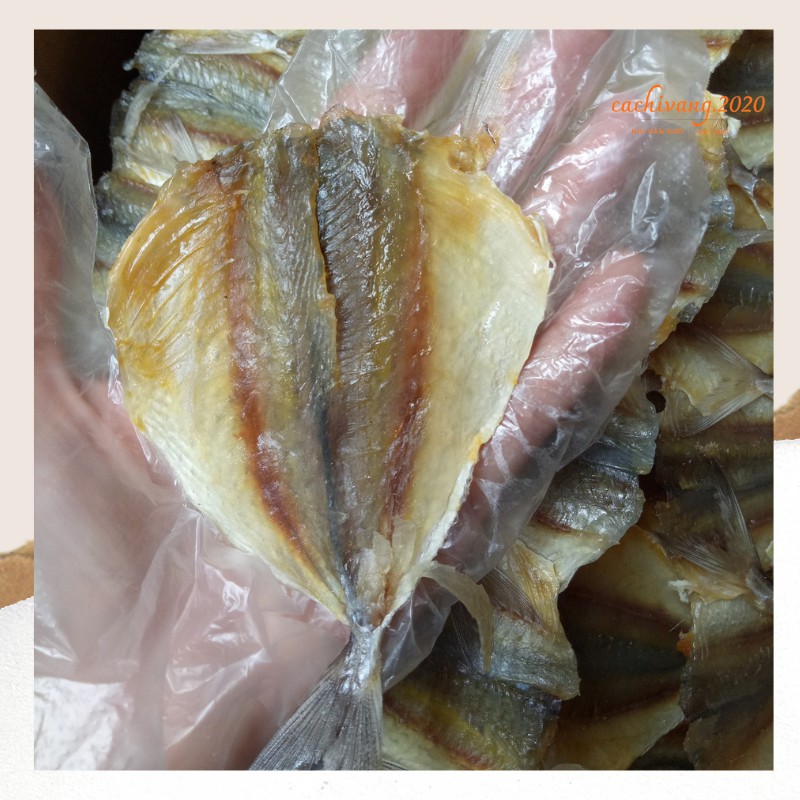 Cá Chỉ Vàng Khô Nướng Không Tẩm Chuẩn Ngon Ngọt - Lẻ 1 Con | BigBuy360 - bigbuy360.vn