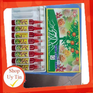 THUỐC GIÂM CHIẾT CÀNH MINH ĐỨC HỘP 10 LỌ, 10ML/LỌ