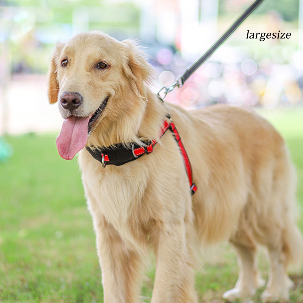 Dây Dẫn Thú Cưng Đi Dạo Tiện Dụng