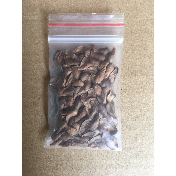 Hạt giống dây Thìa Canh  200 hạt / gói , rất dễ nảy mầm