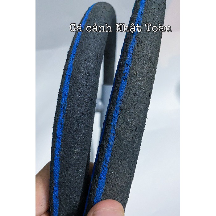 VÒNG SỦI NANO CHO BỂ CÁ CẢNH