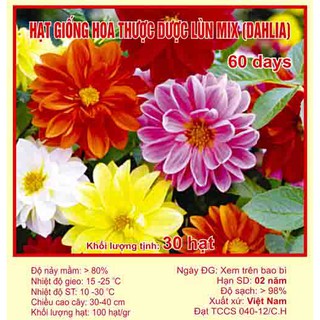 Hạt giống hoa thược dược lùn