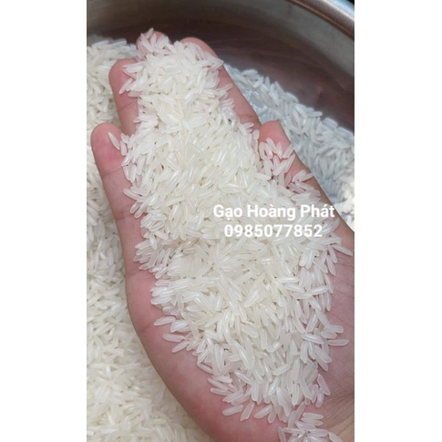 Gạo Jasmine - Dẻo vừa,mềm cơm.(Bao 5kg).