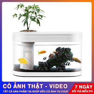 Bể cá thủy sinh Xiaomi 15l kèm hệ thống lọc và đèn led ZZ2020