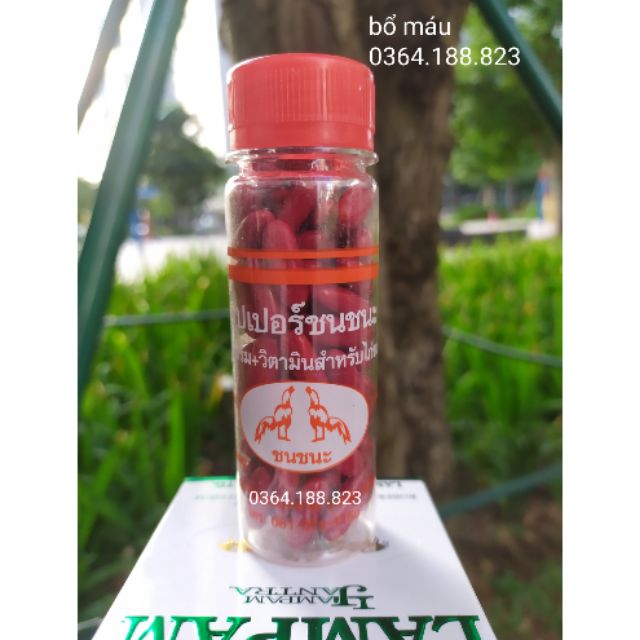 Bổ máu cho gà