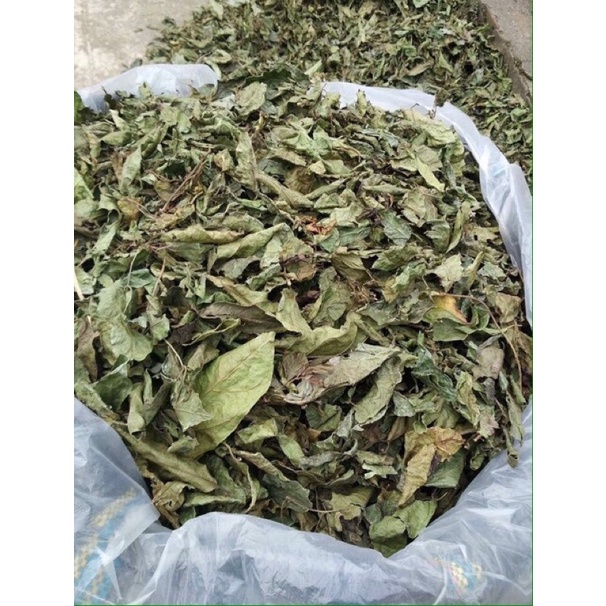 Combo 5kg Xạ đen Hoà Bình (SAO VÀNG HẠ THỔ)