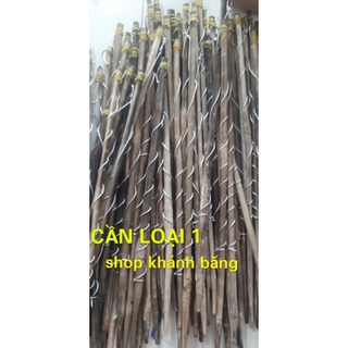 50 CẦN CẮM ẾCH TÓM SẲN LOẠI ( ĐẶT )