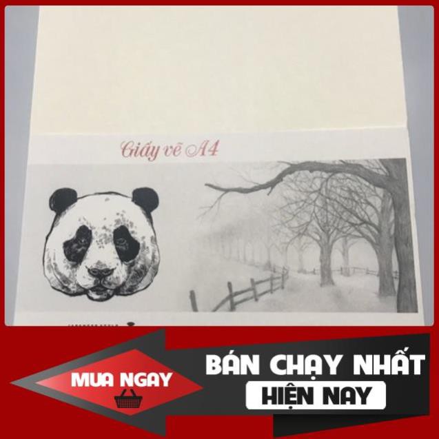 GIẤY VẼ SAKURA (A4/A3)