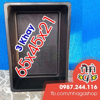 Bộ 3 khay nhựa 65x45x21 - khay nhựa nuôi cá , khay ép cá, khay nhựa dưỡng cá