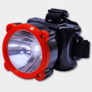 Đèn pin đội đầu Điện Quang ĐQ PFL11 R BLY - Phân Phối Chính Hãng Bởi SCG Home