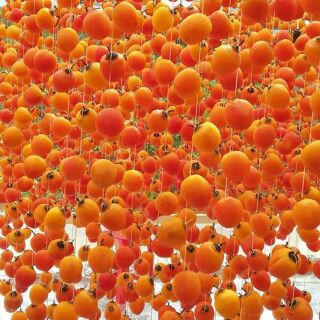 Hồng treo gió đà lạt chuẩn công nghệ Nhật- 250gr / 500gr