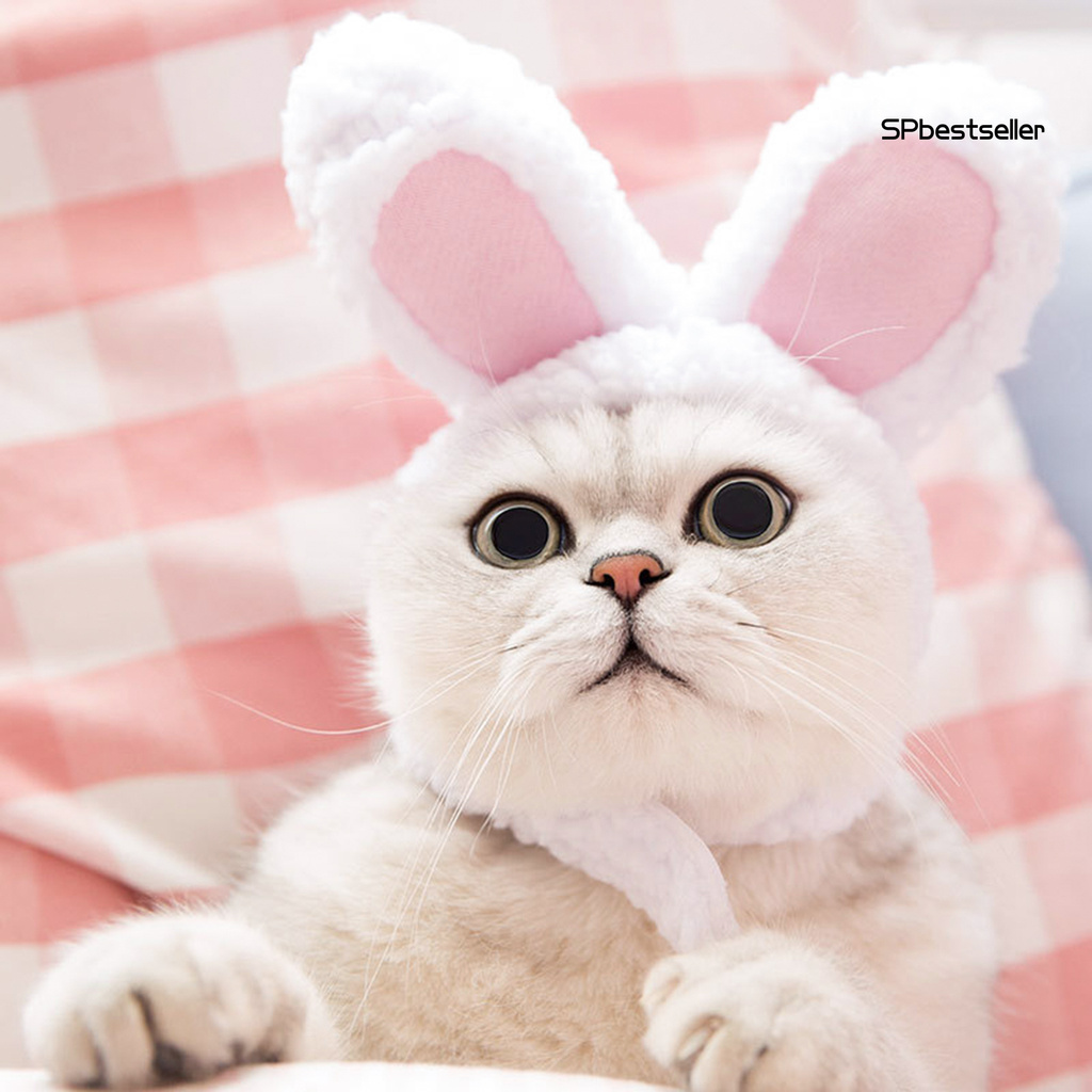 Băng đô tai thỏ đáng yêu cho mèo cưng