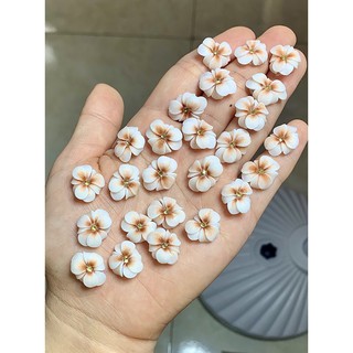 Hoa bột Nail - Hoa gắn móng trang trí móng