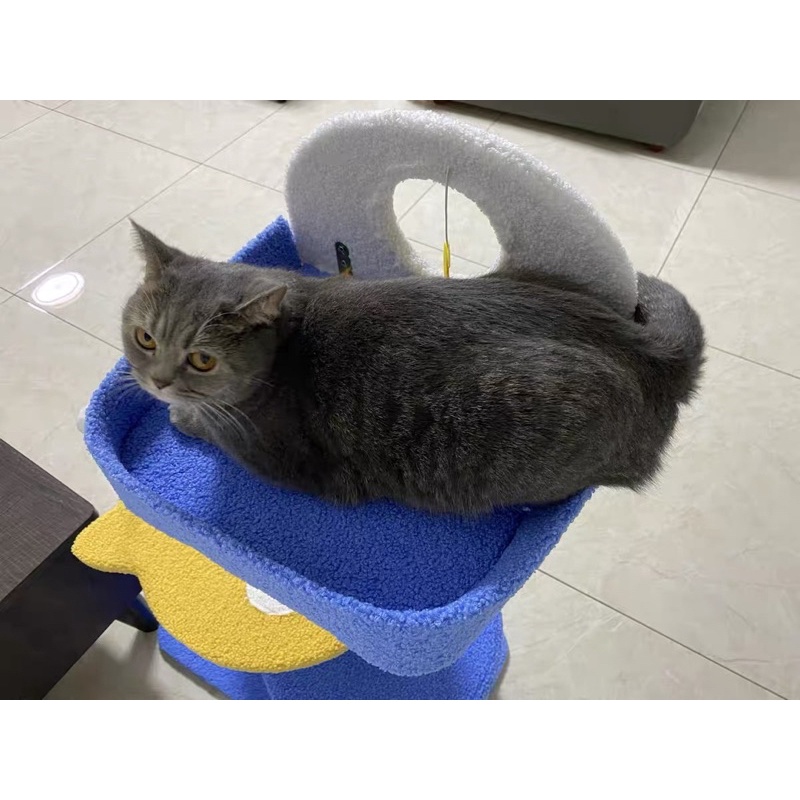 Cattree chonlder Xanh Navy siêu đẹp💙 Hình ảnh thật sản phẩm do khách hàng cung cấp💙