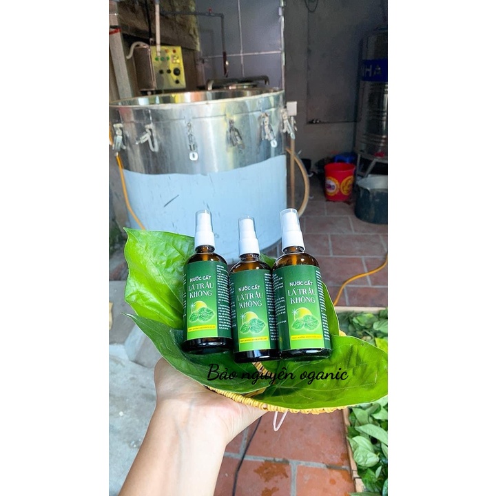 Nước cất lá trầu không nguyên chất
