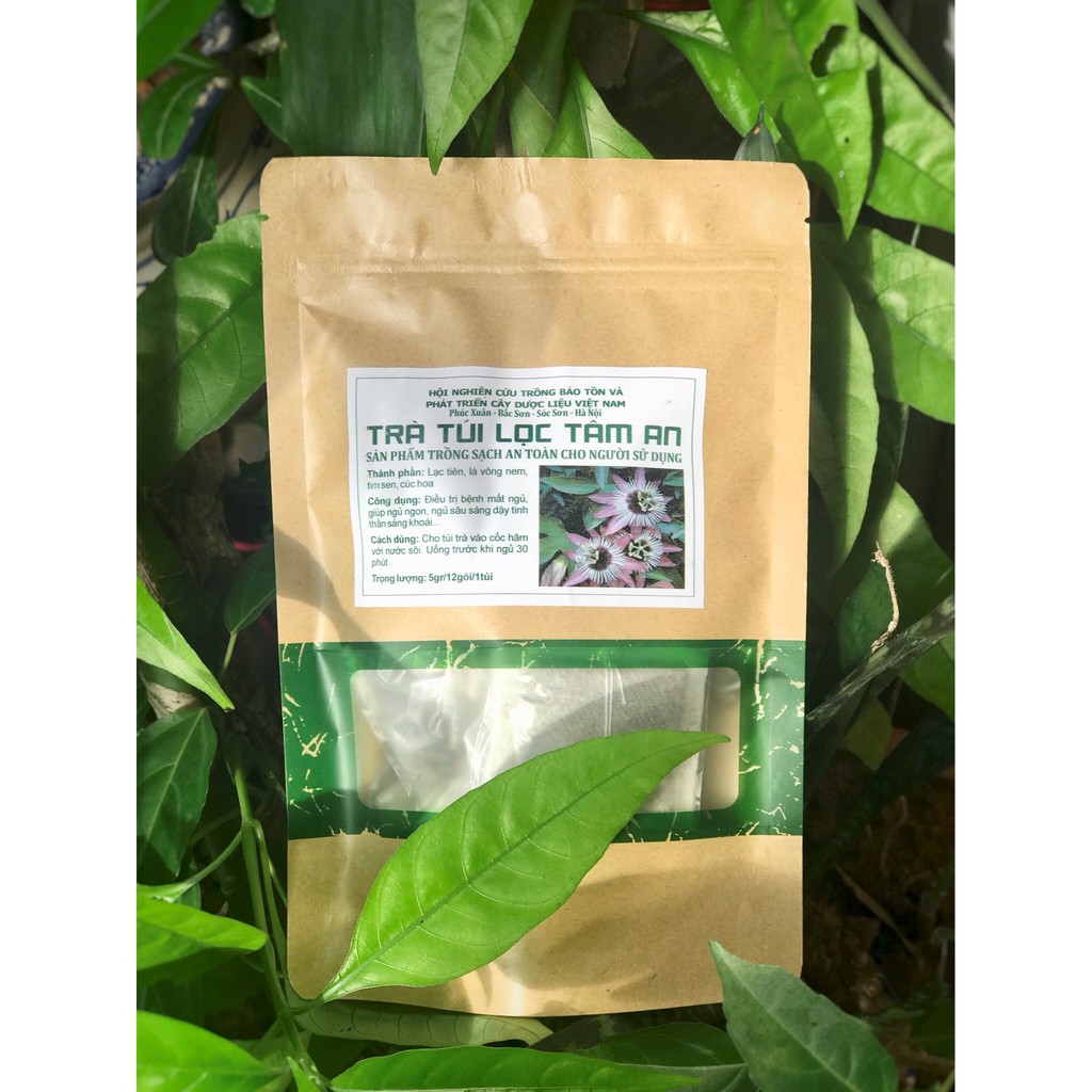 TRÀ TÚI LỌC TÂM AN