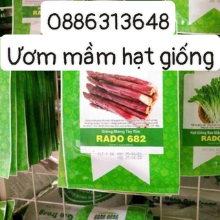 Hạt Giống Măng tây tím (0.2g)