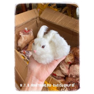 thỏ đạo cụ chụp hình bé