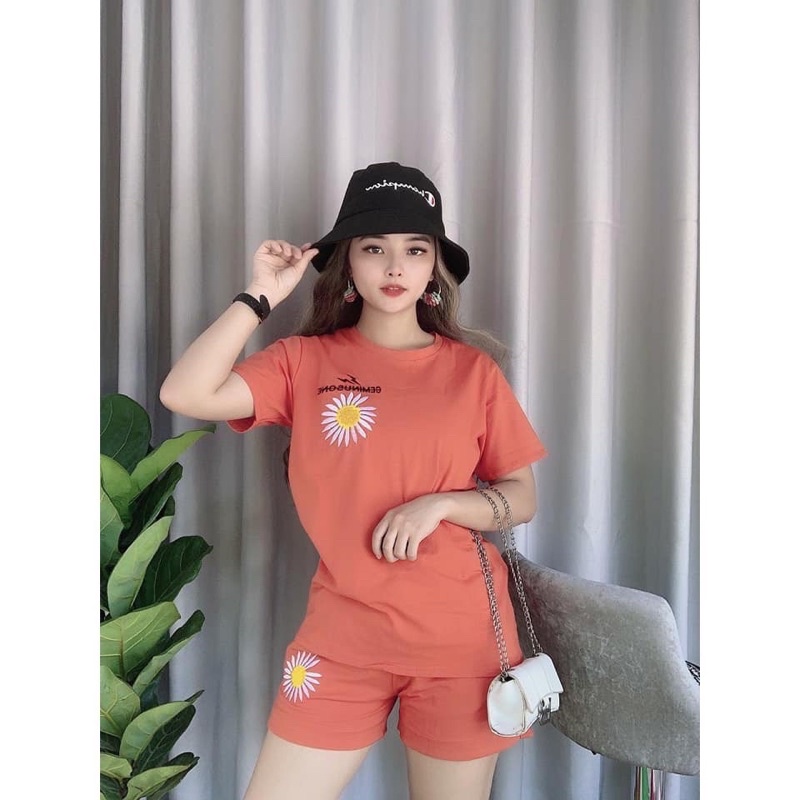 ❤️[KHAI TRƯƠNG BÁN GIÁ VỐN] Đồ bộ thun cotton mặc nhà, đồ bộ nữ đẹp chất liệu thun cotton co giãn 4 chiều