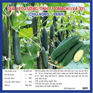 Dưa leo lưỡng tính F1 Omachi (VA.32) Chịu nóng lạnh