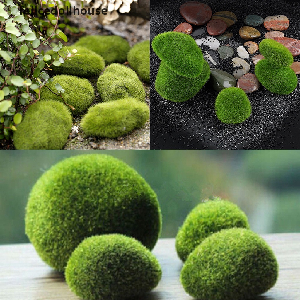 Đá Cỏ Marimo Nhân Tạo Mini Trang Trí Vườn Thần Tiên Terrarium