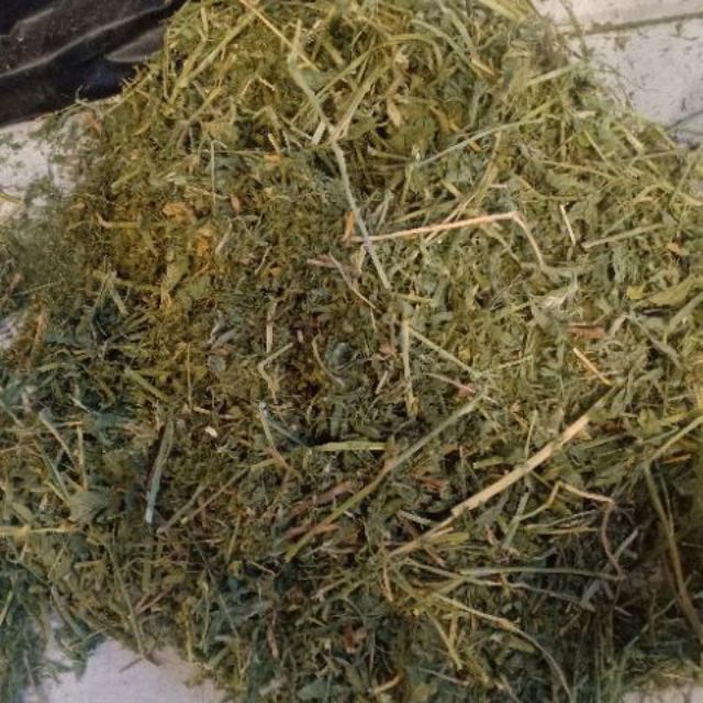 Cỏ khô Alfalfa cho thỏ và bọ giá rẻ 40k/1kg