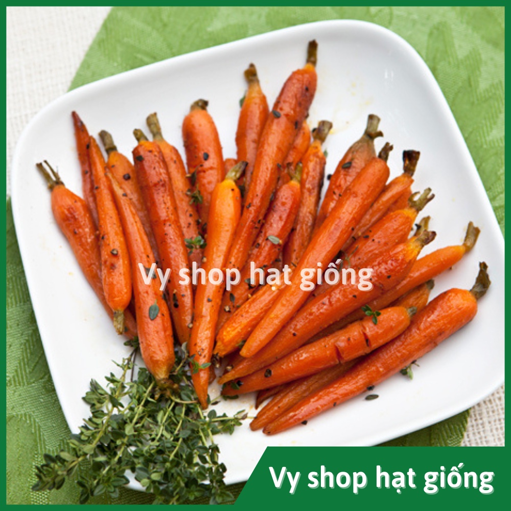 Hạt giống cà rốt baby Thái Lan gói 500 hạt