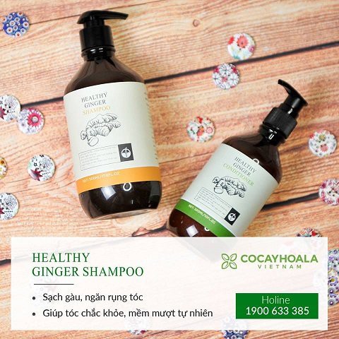 Dầu gội đầu gừng - Bộ Dầu Gội Xả Chiết Xuất Gừng Dừa An Toàn Cho Mẹ Sau Sinh Cocayhoala 500 ml | BigBuy360 - bigbuy360.vn