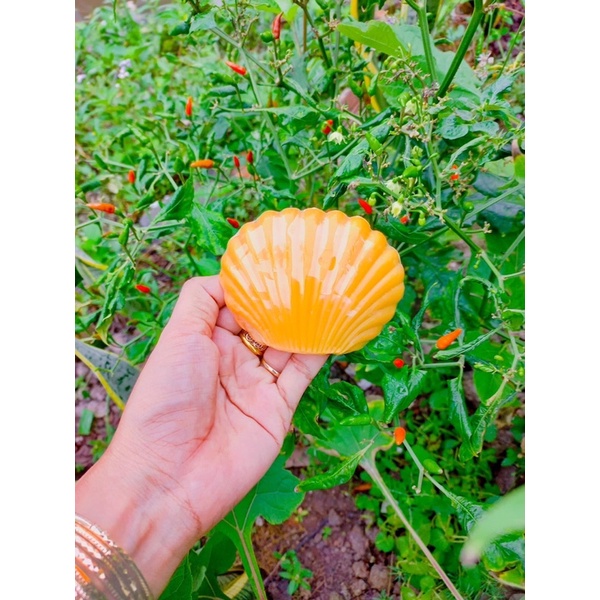 xà phòng nở ngực mị hương (tặng thướt đo) | BigBuy360 - bigbuy360.vn