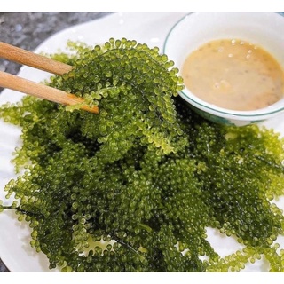 Rong Nho Tách Nước Hôp 500g
