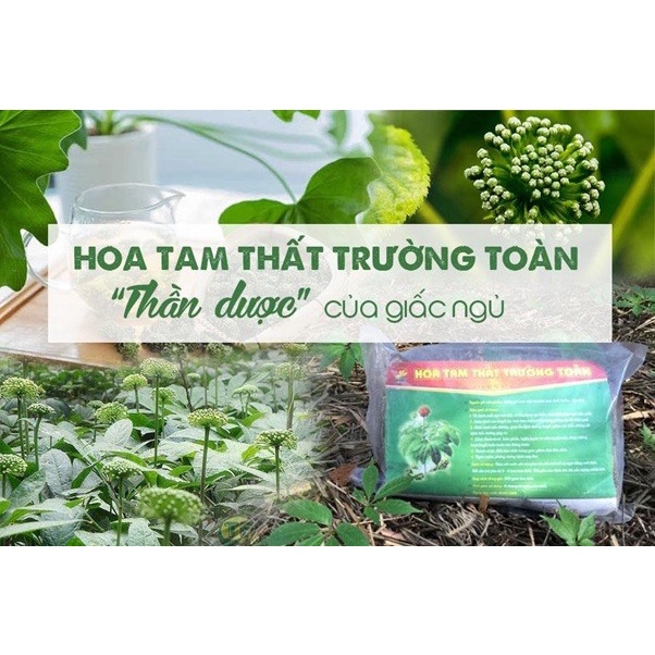 250g Hoa tam thất Sapa loại 1