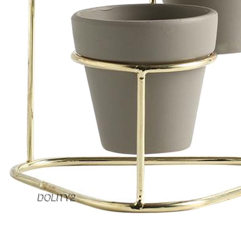 Bộ Sưu Tập Chậu Cây Mọng Nước 3 Trong 1 [Dolity2] Với Giá Đỡ Kim Loại Màu Vàng Kim