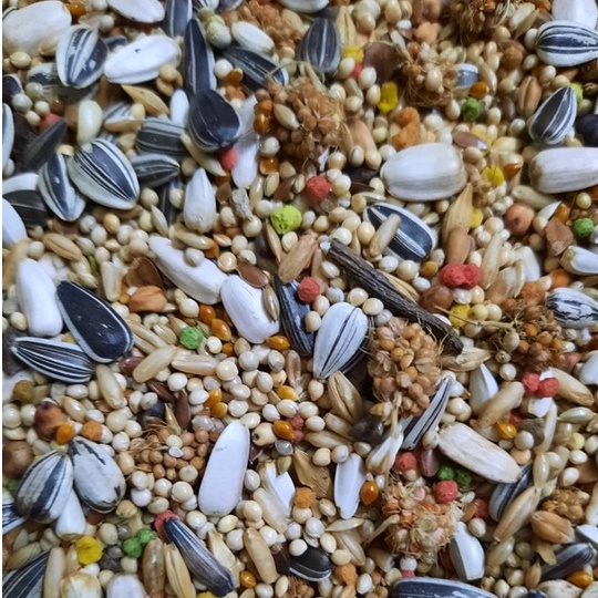 0,5kg hạt hoàn chỉnh có hạt trái cây cho chim vẹt tập ăn phù hợp lovebird, cook, parolet,..