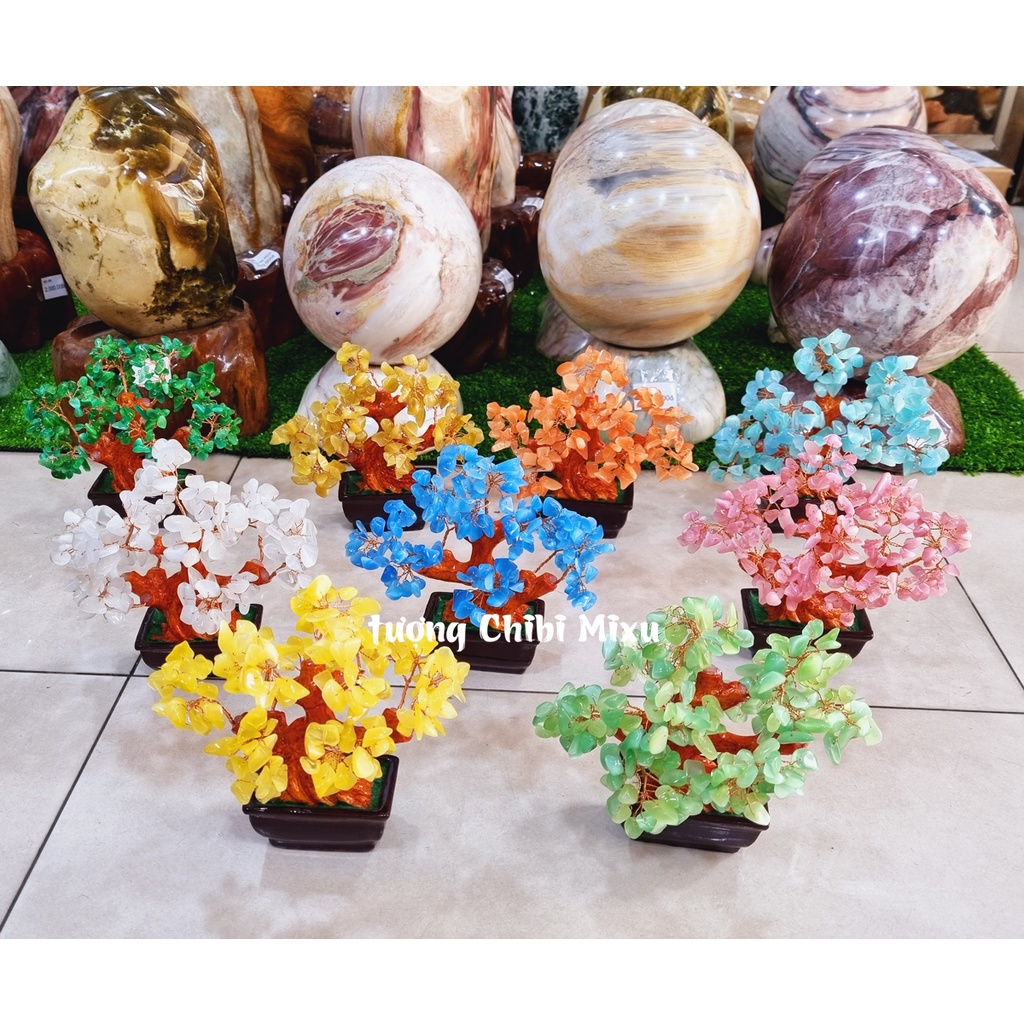 Cây tài lộc đá mắt mèo màu cam cho người mệnh Hỏa