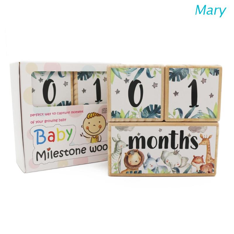 Bộ thẻ gỗ đánh dấu cột mốc tháng tuổi làm đạo cụ chụp ảnh cho bé sơ sinh