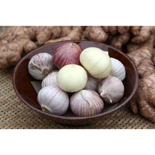 1kg Tỏi cô đơn Phan Rang làm tỏi đen
